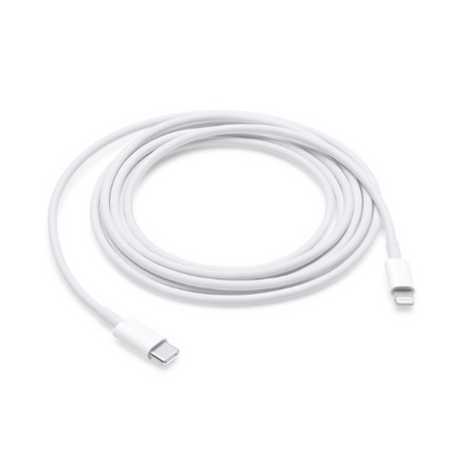 Lightning Fast Charger Bundle - Type-C to Lightning Cable + Type C Adapter
